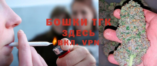 spice Новозыбков