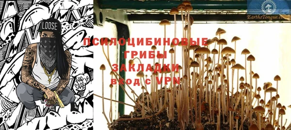 молекула духа Няндома