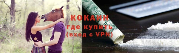 прущая мука Новодвинск