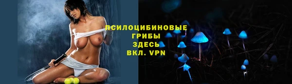 мяу мяу мука Новокубанск