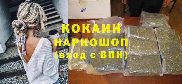 spice Новозыбков