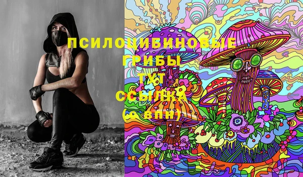 прущая мука Новодвинск
