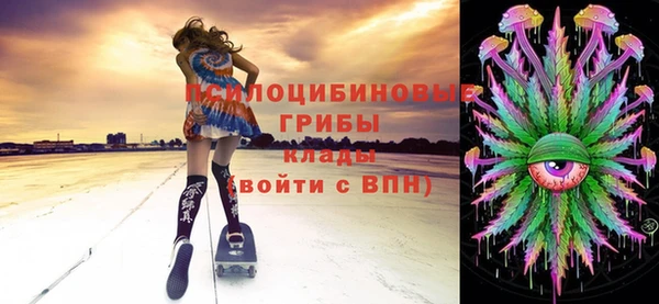 молекула духа Няндома