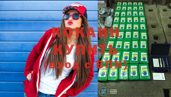 молекула духа Няндома