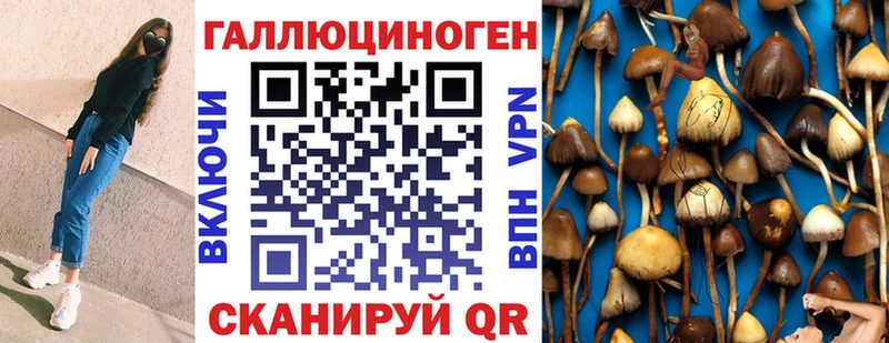 Псилоцибиновые грибы Cubensis  blacksprut как войти  Межгорье  цена наркотик 